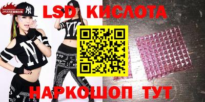стаф Сланцы
