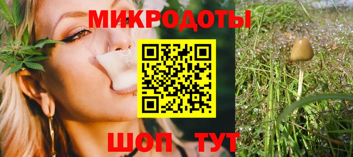 Псилоцибиновые грибы Psilocybine cubensis Борисоглебск